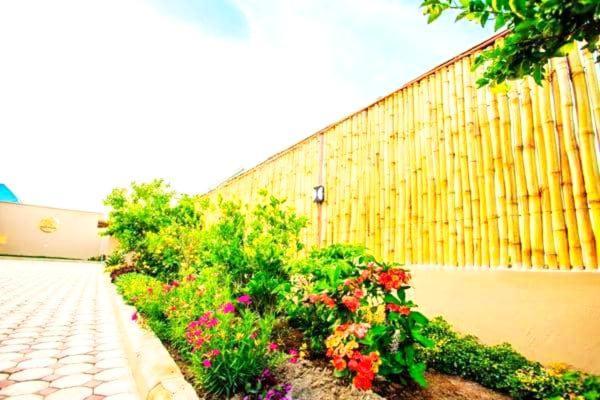 Safi House Bed & Breakfast Boma la Ngombe ภายนอก รูปภาพ