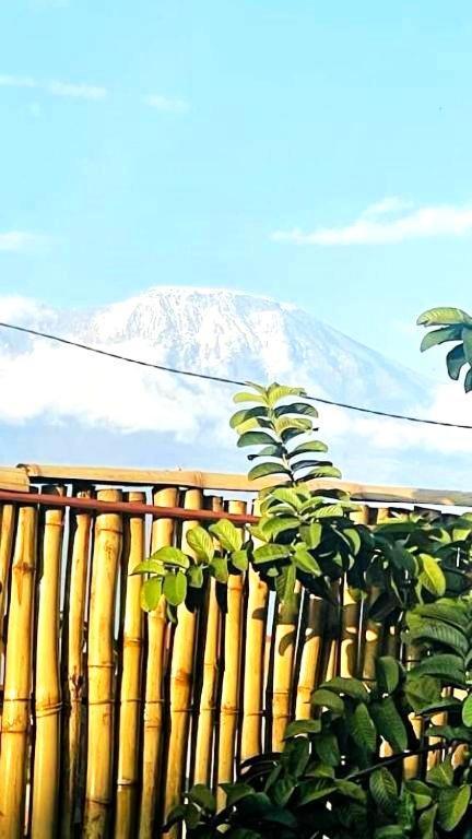 Safi House Bed & Breakfast Boma la Ngombe ภายนอก รูปภาพ