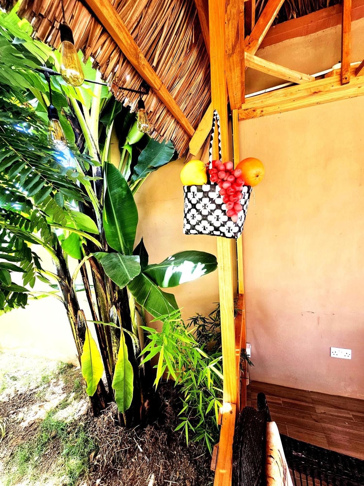 Safi House Bed & Breakfast Boma la Ngombe ภายนอก รูปภาพ