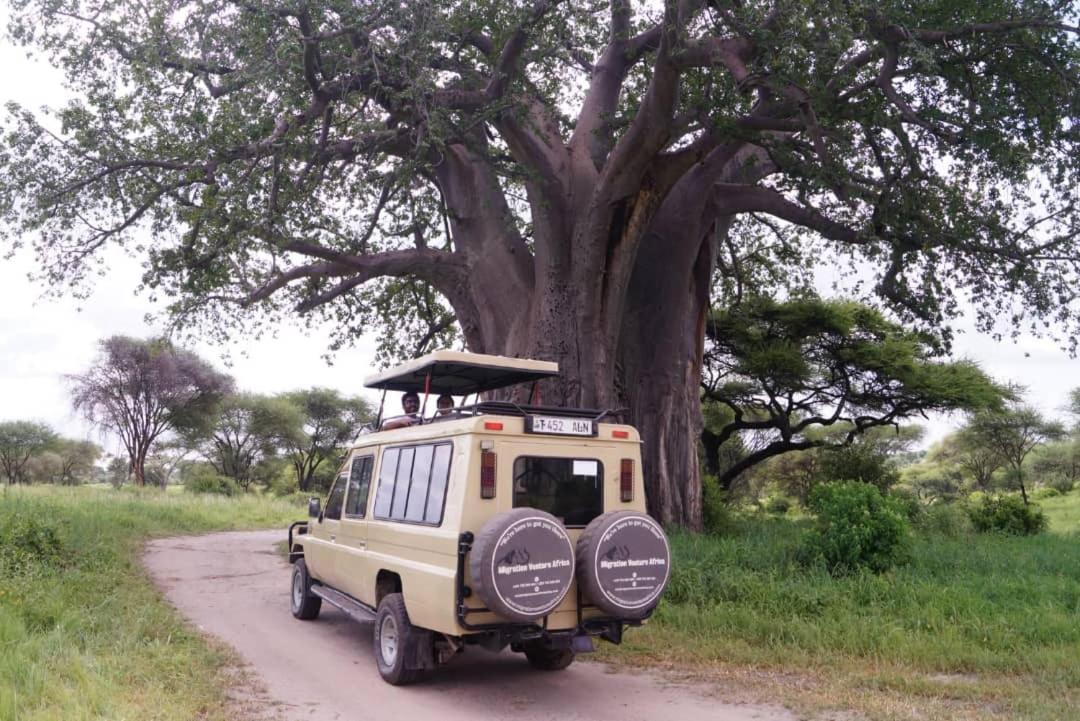 Safi House Bed & Breakfast Boma la Ngombe ภายนอก รูปภาพ